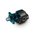 Cast Iron Formula [FP] Gear Pump/Motor
