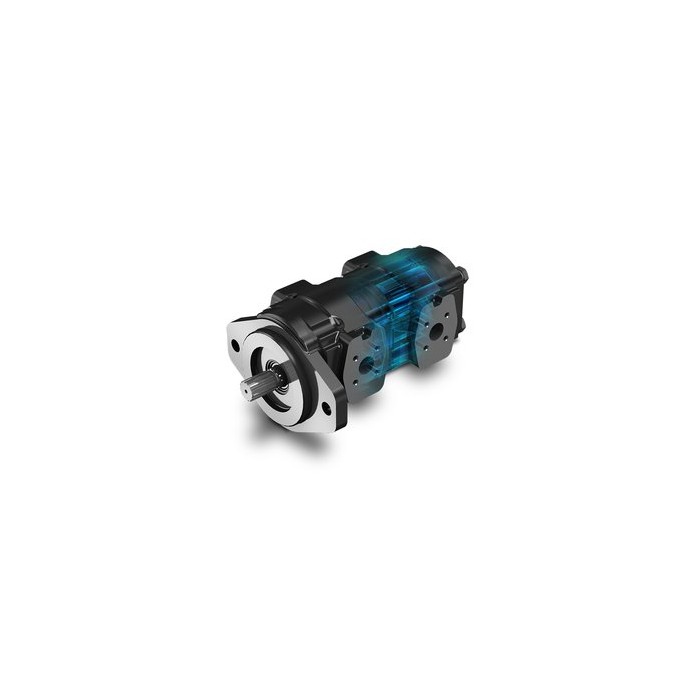 Cast Iron Polaris Gear Pump