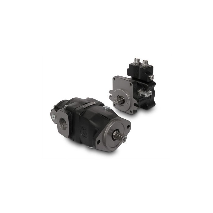 Fixed Displacement Plata Piston Pump/Motor