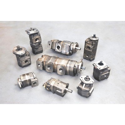 Bushing Gear Pump Range