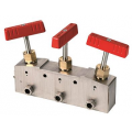 Double-Block and Bleed Valves