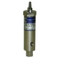 DRV Direct Acting Relief Valve