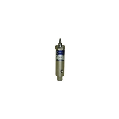 DRV Direct Acting Relief Valve